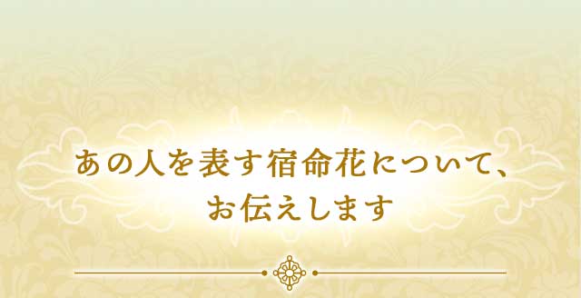 あの人を表す宿命花について、 お伝えします