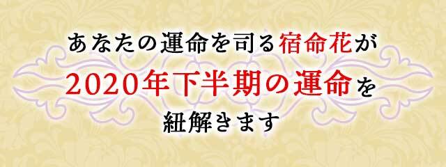 あなたの運命を司る3つの花々が 2020年下半期の運勢を 紐解きます